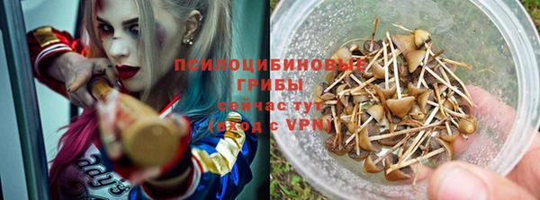 прущая мука Сосновый Бор