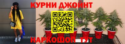 спайс Будённовск