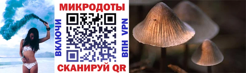 Галлюциногенные грибы мухоморы  Шебекино 