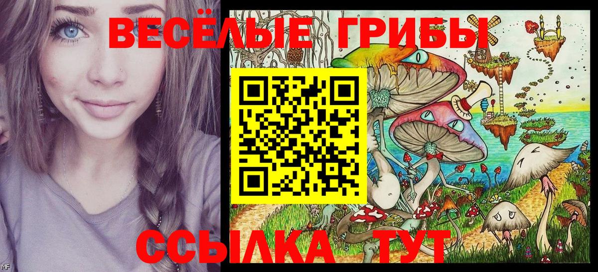 Галлюциногенные грибы прущие грибы Шебекино